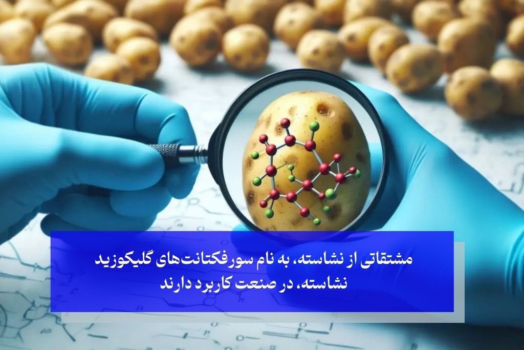 نشاسته در علم دندانپزشکی