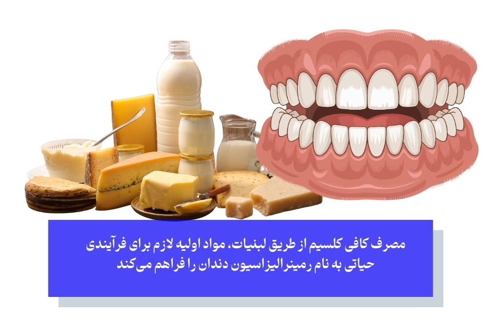 کلسیم؛ بلوک اصلی و حیاتی سازنده دندان‌ها